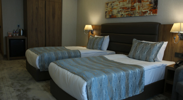 Økonomi- dobbelt værelse Royal Termal Hotel
