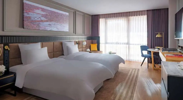 Двухместный номер Superior Sofitel Istanbul Taksim
