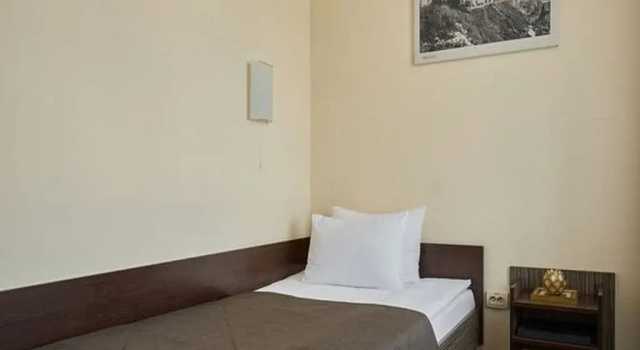 Standard- Enkelt værelse med altan Neman Hotel