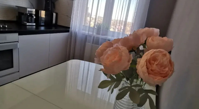 Uyutnaya S Prekrasnym Vidom Flat, Book Apartment Kaliningrad Kaliningrad Region