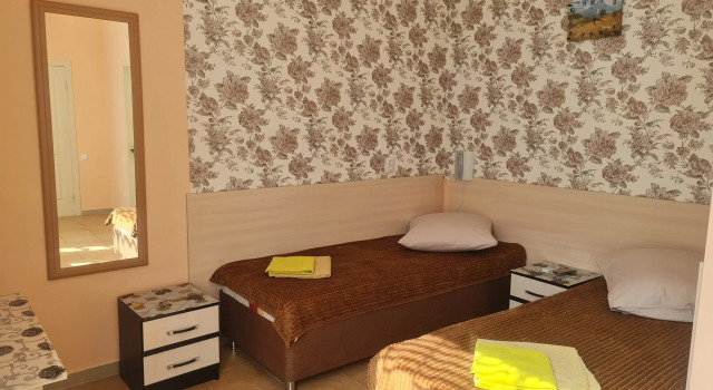 Standard Double room with balcony DelfiniYa Mini-Hotel