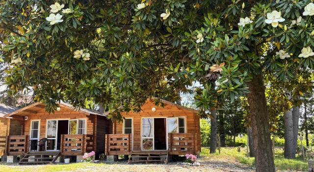 Domik Bika 2 Private house, 预订 度假屋 皮聪达 Gagra District