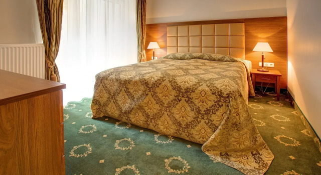 Двухместный номер Standard с балконом и с красивым видом из окна Санаторий Egle