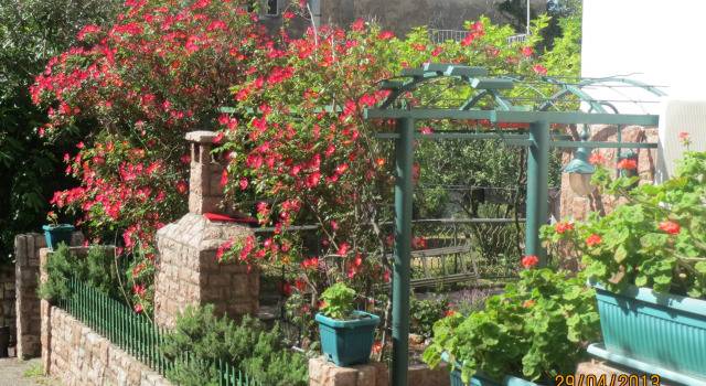 Guest House Vukovic, Book Apartment Cheap Hotels in Budva County