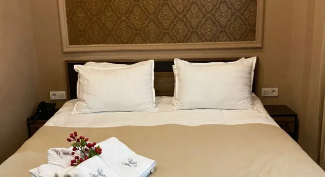 Guest house TWINS