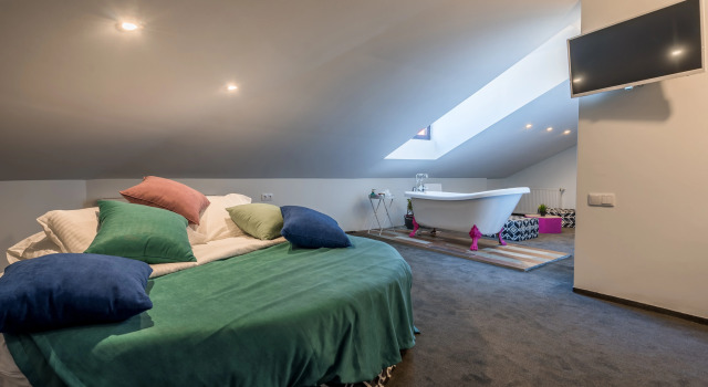 Номер Deluxe Мансарда с красивым видом из окна Redrum Tbilisi Boutique Hotel