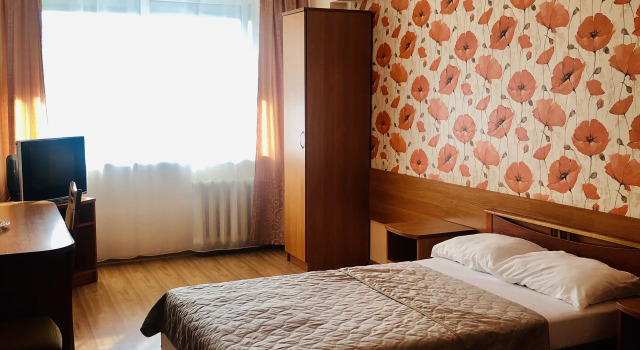 Standardní Jednolůžkový pokoj a výhledem na město Hotel ReaKomp