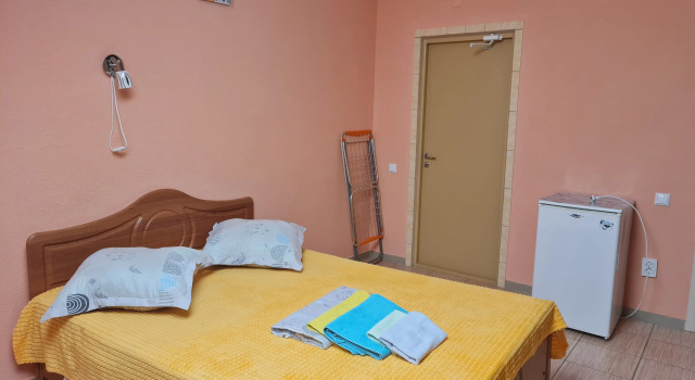 Standard Double Attic room DelfiniYa Mini-Hotel