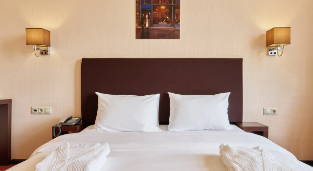 Двухместный номер Business Отель Sunflower Румянцево ZONT Hotel Group