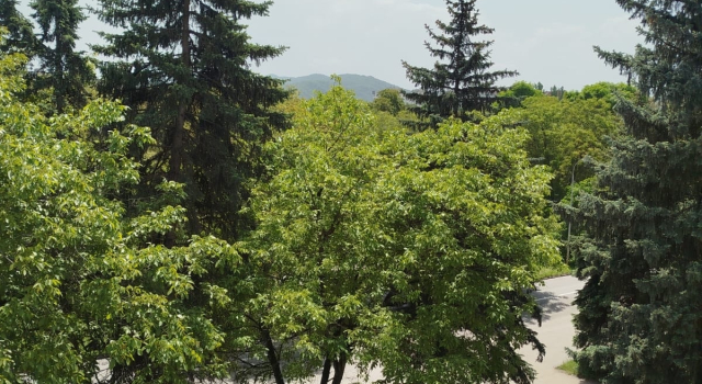Квартира Шортанова 17