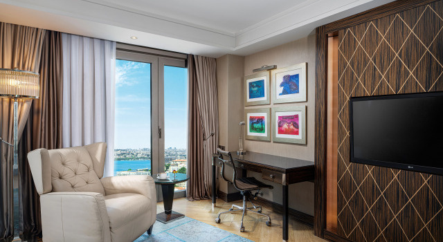 Двухместный номер Executive с видом на залив Золотой Рог Radisson Blu Hotel Istanbul Pera