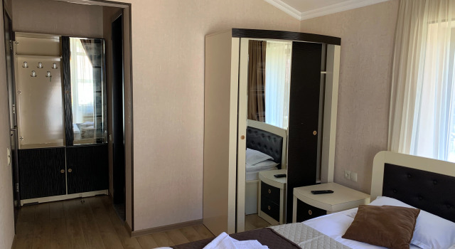 Вилла с 4 комнатами с балконом и с красивым видом из окна Villa Astoria Bakuriani