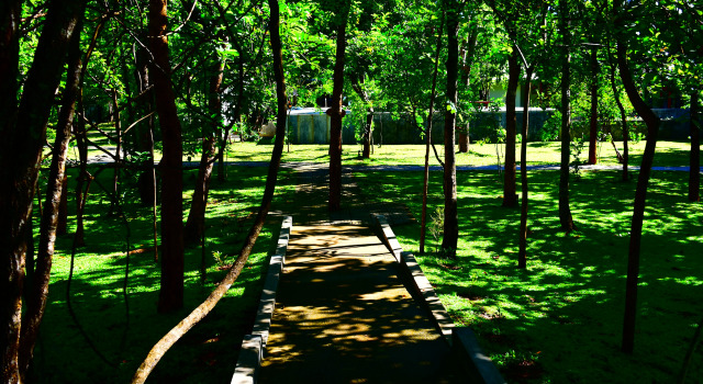 Отель Sigiri Asna Nature Resort