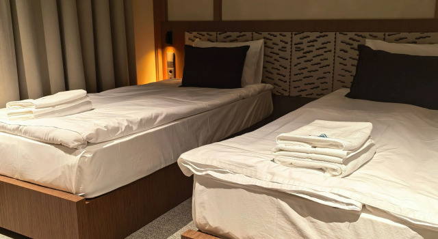 Двухместный номер Standard Шале Altai Mountains Resort