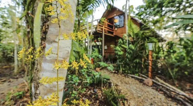 Kapievi Ecovillage, Buchen Sie Villa Villen in Madre de Dios, Villa