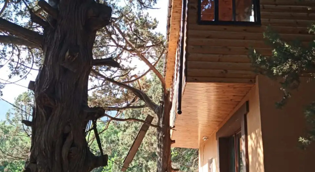 Mozhzhevelovyij Dom Guest House, Rezervovat Penzión Simeiz 