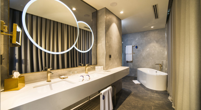 Двухместный люкс c 1 комнатой с видом на город и лес Radisson Collection Hotel, Vadistanbul