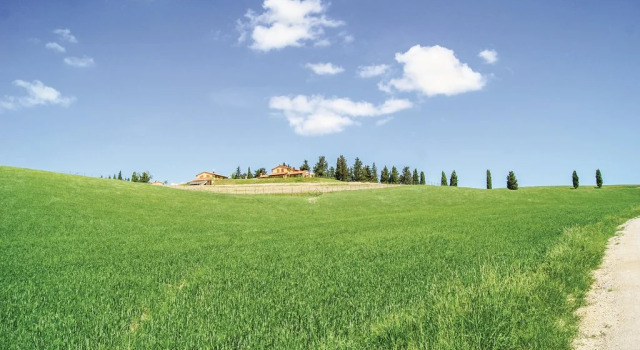 Il Borgo Srl Villa