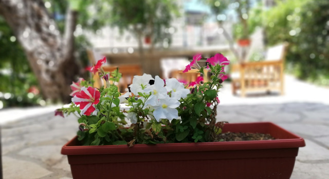 Апартаменты Tivat Luxury