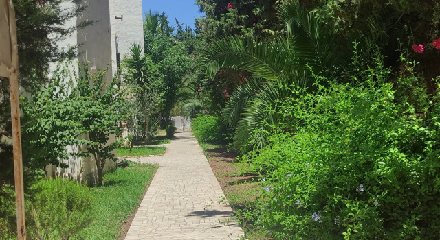 Апартаменты Elegant Near Beach & Marina