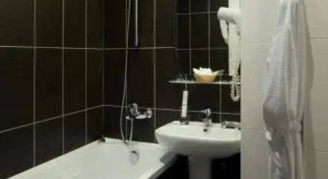 Двухместный Люкс Отель Метелица