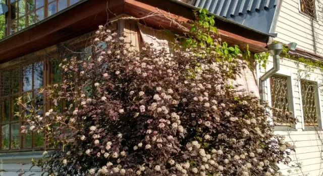 Vuoksa-Khill Guest House, Boek Pension Barijsjevo 