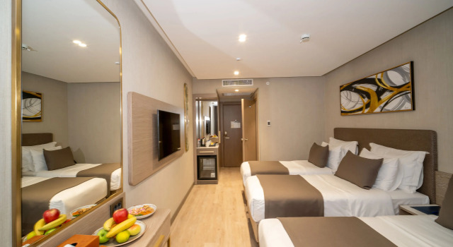 Трёхместный номер Standard Rayelin Hotel Old Town