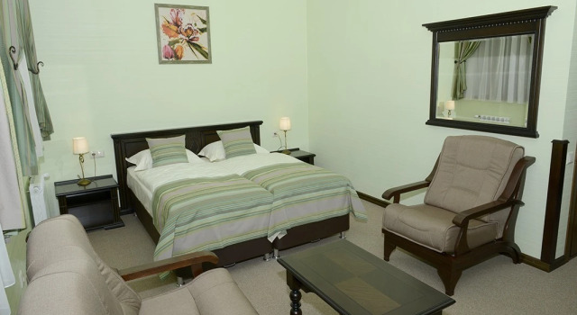 Komfort- dobbelt værelse Mirskiy Posad Hotel