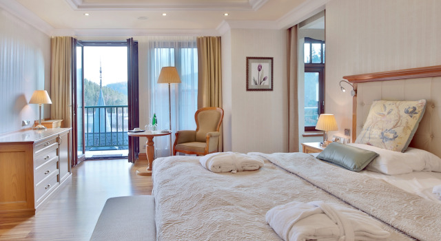 Двухместный люкс Admiral с балконом Retro Riverside Wellness Resort