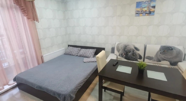 Квартира на Красном проспекте 311