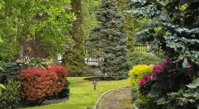 Вилла Вишня