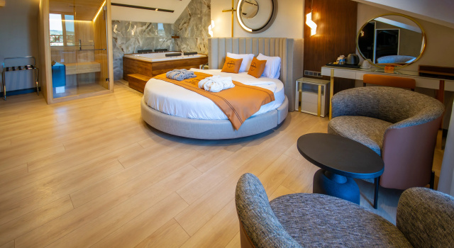 Люкс Elysian Airport Hotel & Restaurant