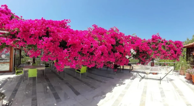 Akdeniz Pansiyon Bed&Breakfast, Rezervovat Penzión se snídaní Hotely v Mugla s parkováním, Parkování