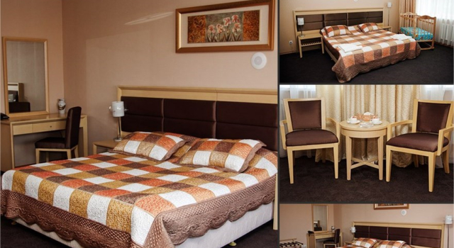 Habitación doble Estándar Gorizont Hotel