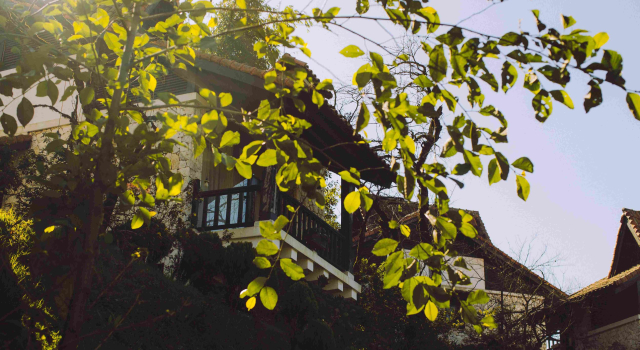 Nest Villa с балконом и с видом на горы Sapa Jade Hill Resort & Spa