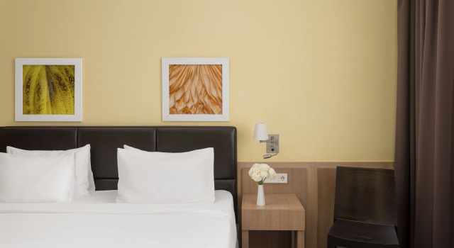 Двухместный номер Стандартный Отель Golden Tulip