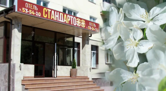 Отели Стандартофф
