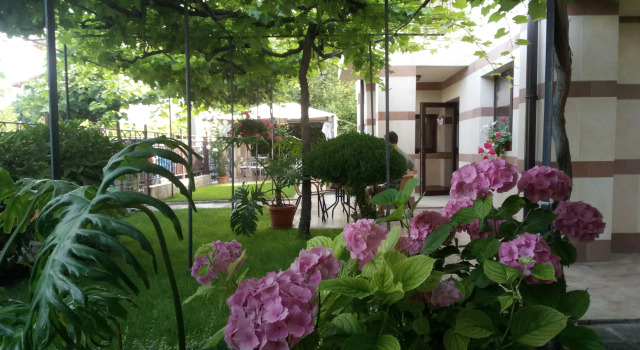 Bellehouse Guest House, Rezervovat Penzión Hotely v Chernomorec se snídaní, Snídaně