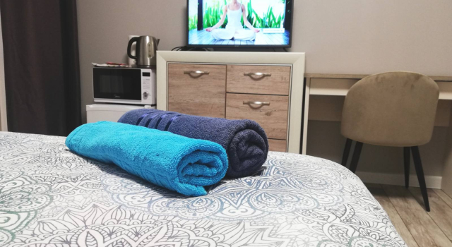 1 Bedroom Comfort Apartment with courtyard view Hotel Suvorov
