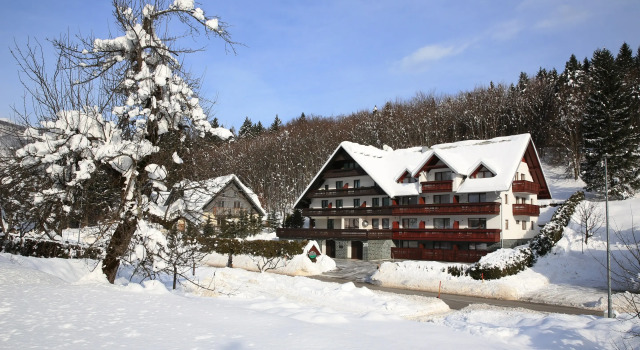 Hotel Gasperin Bohinj, Забронировать Отель Отели Гореньска 3 звезды, 3*
