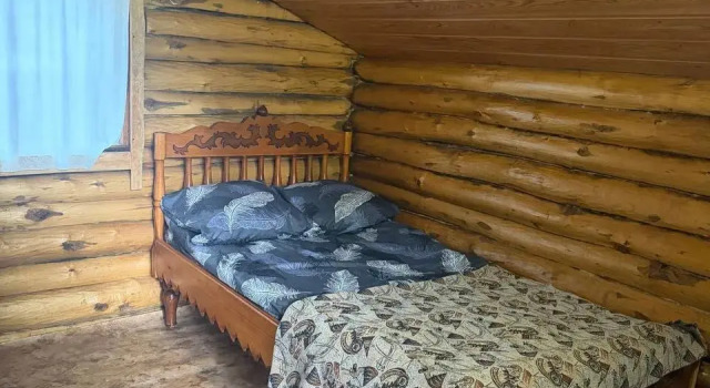 Номер Economy Гостевой дом Лесная сказка
