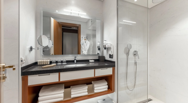 Полулюкс Санаторий Источник Железноводск