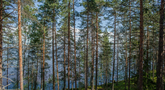 Гостевой комплекс Сямозерье, Забронировать Отель Отели Алекка с парковкой, Парковка