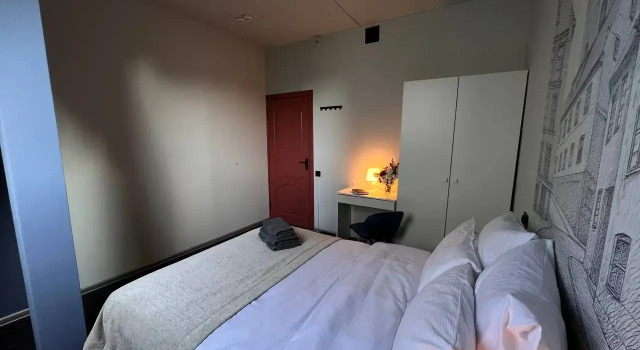 Standard Double room with garden view Pruss Hostel