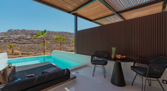 Люкс Deluxe с красивым видом из окна Отель Ftelia Black Villas