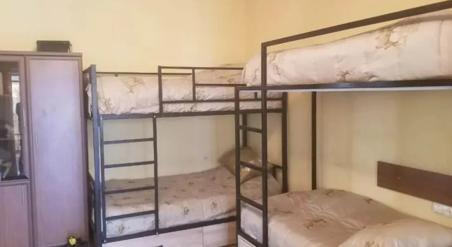Seng i sovesal (sovesal til kvinder) Flamingo Hostel