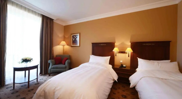 Двухместный номер Standard с красивым видом из окна LOTTE City Hotels Tashkent Palace