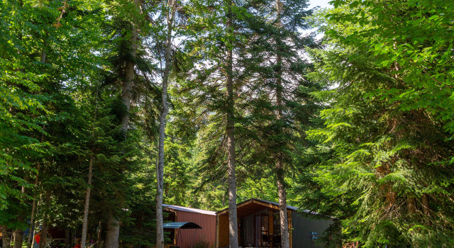 База отдыха Forest house resort