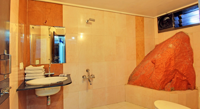 Номер Deluxe Отель Ashoka Mount Abu