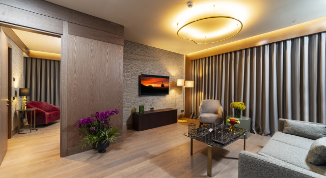 Двухместный люкс c 1 комнатой с видом на город и лес Radisson Collection Hotel, Vadistanbul
